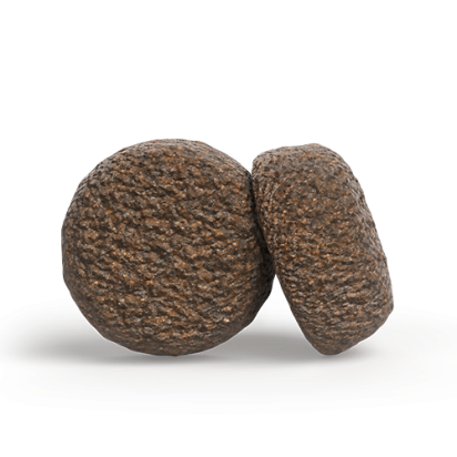 A/S ADULT HYPOALLERGENIC    Kompozicija