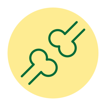 Struktura kostiju