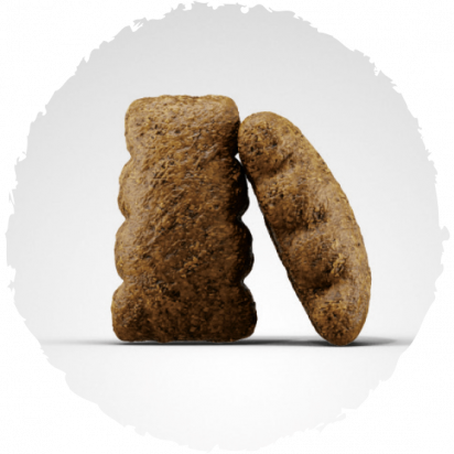 SENSIPLUS Kompozicija