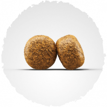 BALANCE Kompozicija