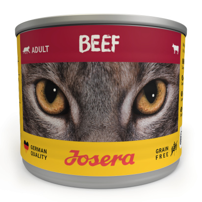 BEEF CAT WET