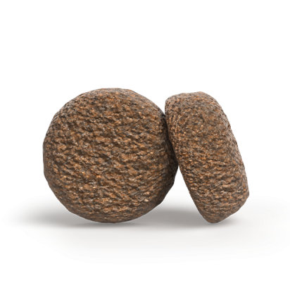 A/S ADULT ACTIVE NATURE    Kompozicija