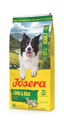 A/S ADULT LAMB & RICE   