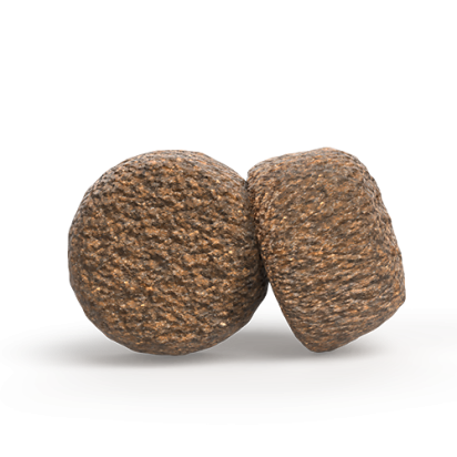 A/S ADULT LIGHT & VITAL   Kompozicija