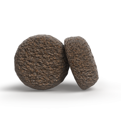 A/S ADULT SALMON & POTATO   Kompozicija