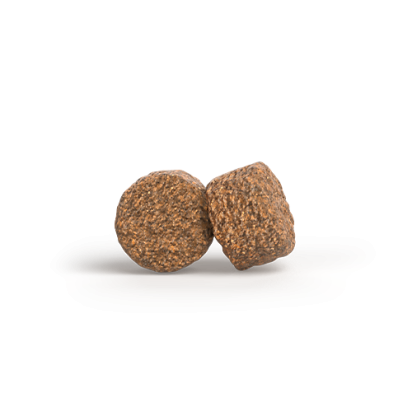 A/S MOTHER&PUPPY SALMON & RICE   Kompozicija