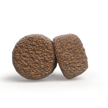 A/S SENIOR SALMON & RICE    Kompozicija