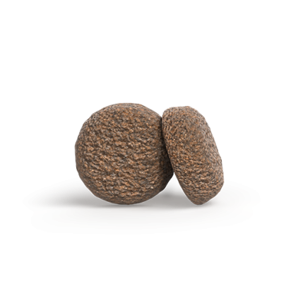 MINI ADULT LAMB Kompozicija