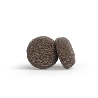 MINI JUNIOR DUCK & SALMON Kompozicija