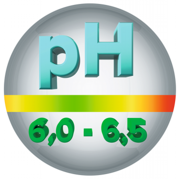 pH u urinu od 6,0 - 6,5
