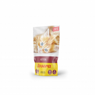 PATÉ KITTEN