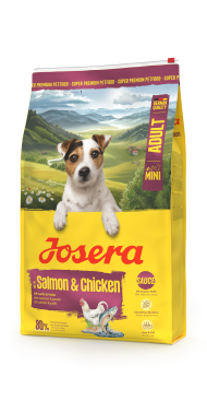 MINI ADULT SALMON & CHICKEN